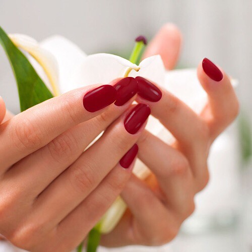 PLATINUM NAILS SPA - additional services